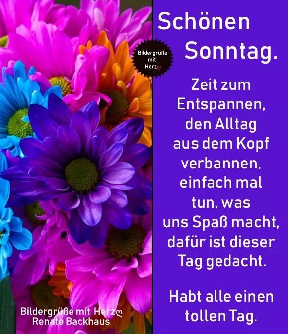 Schönen Sonntag Noch Schönen Sonntag Noch