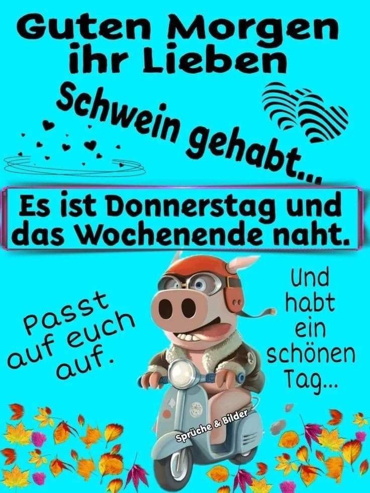 Lustige bilder donnerstag morgen