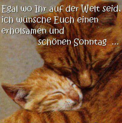 Whatsapp Sonntag Whatsapp Sonntag