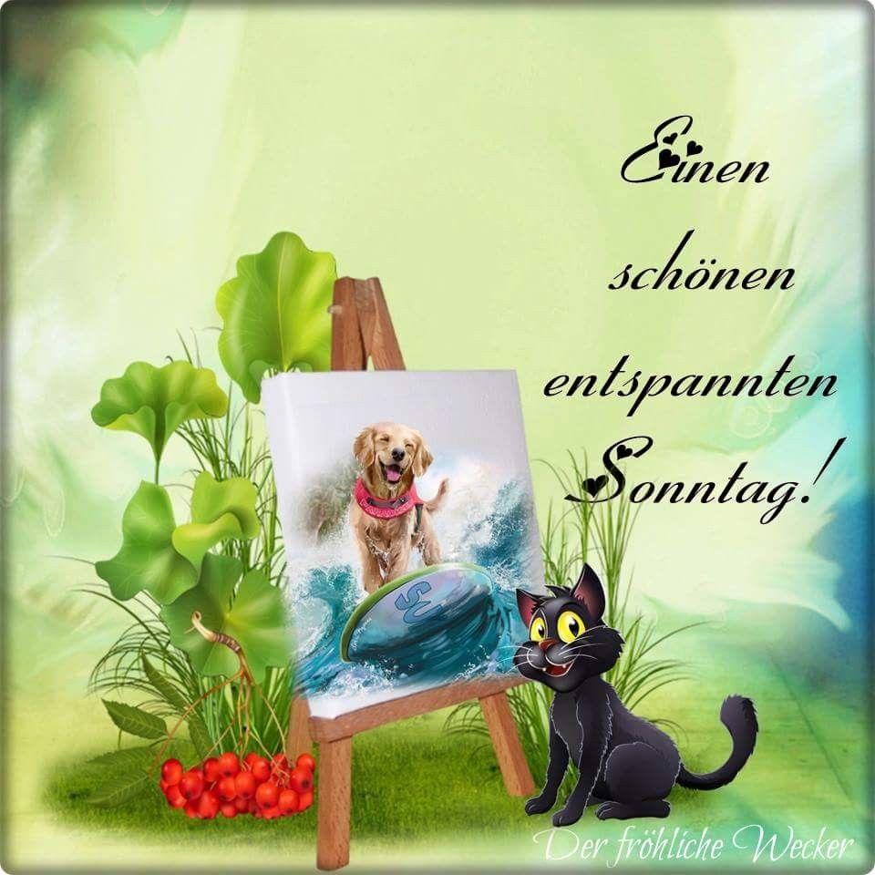 Whatsapp schönen sonntag Bilder und Sprüche für Whatsapp und Facebook