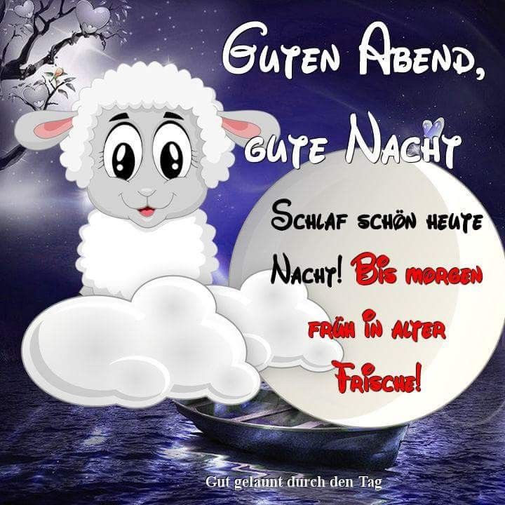 Guten abend und gute nacht bilder