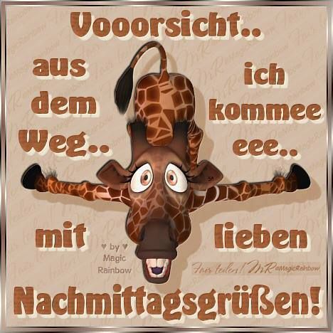 Ein Schöner Tag Bilder Nachmittags Ein Schöner Tag Bilder Nachmittags - Ein Schöner Tag Bilder Nachmittags
