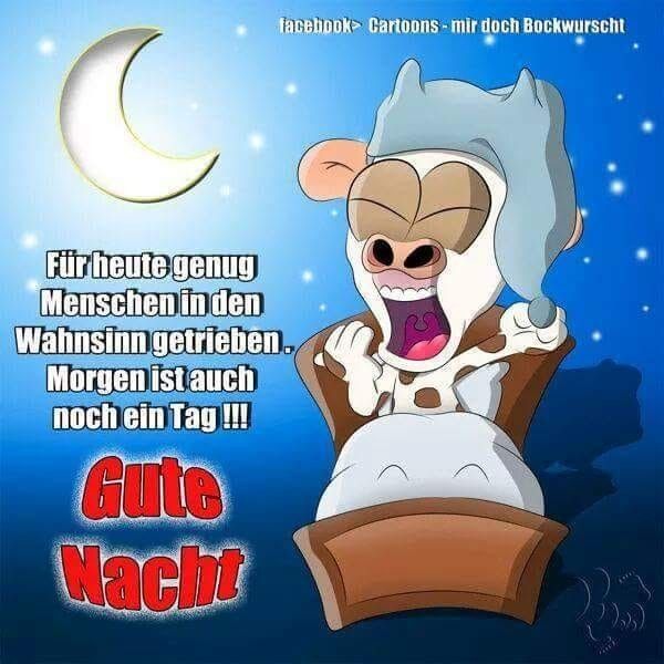 Gute nacht engel sprüche Bilder und Sprüche für Whatsapp und Facebook