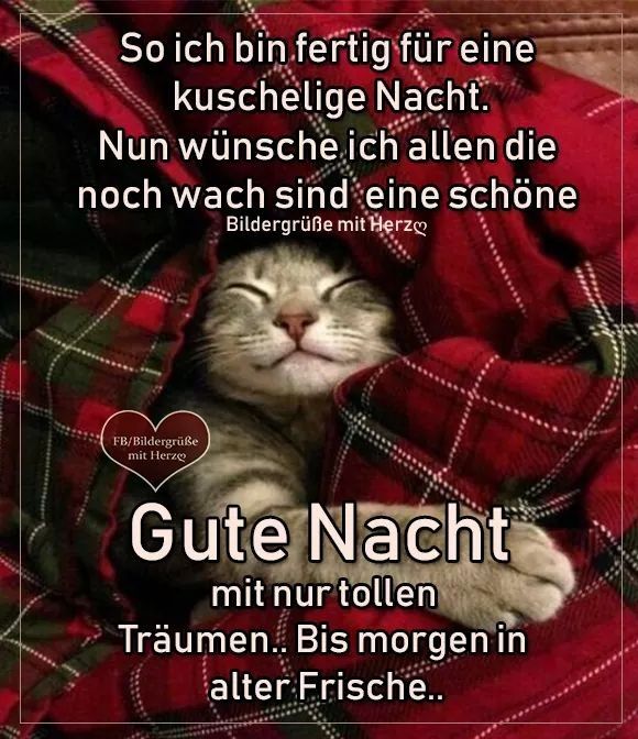 Schöne gute nacht sprüche Animierte Gif Bilder und Sprüche für