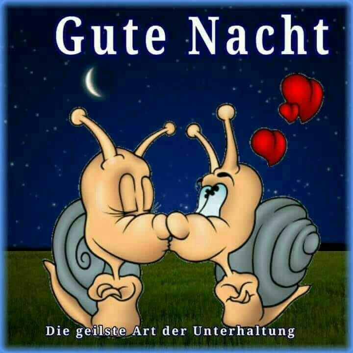Gute nacht grüsse sprüche Bilder und Sprüche für Whatsapp und