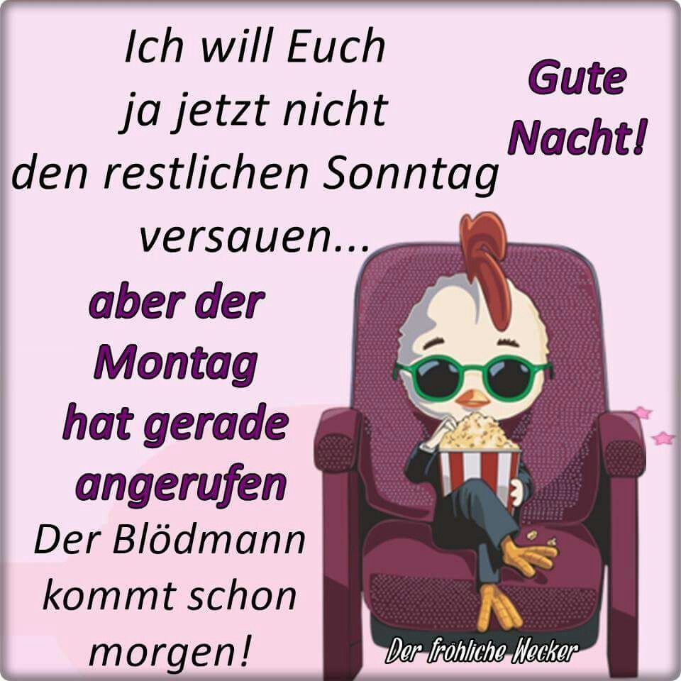 Gute nacht sagen süß Bilder und Sprüche für Whatsapp und Facebook