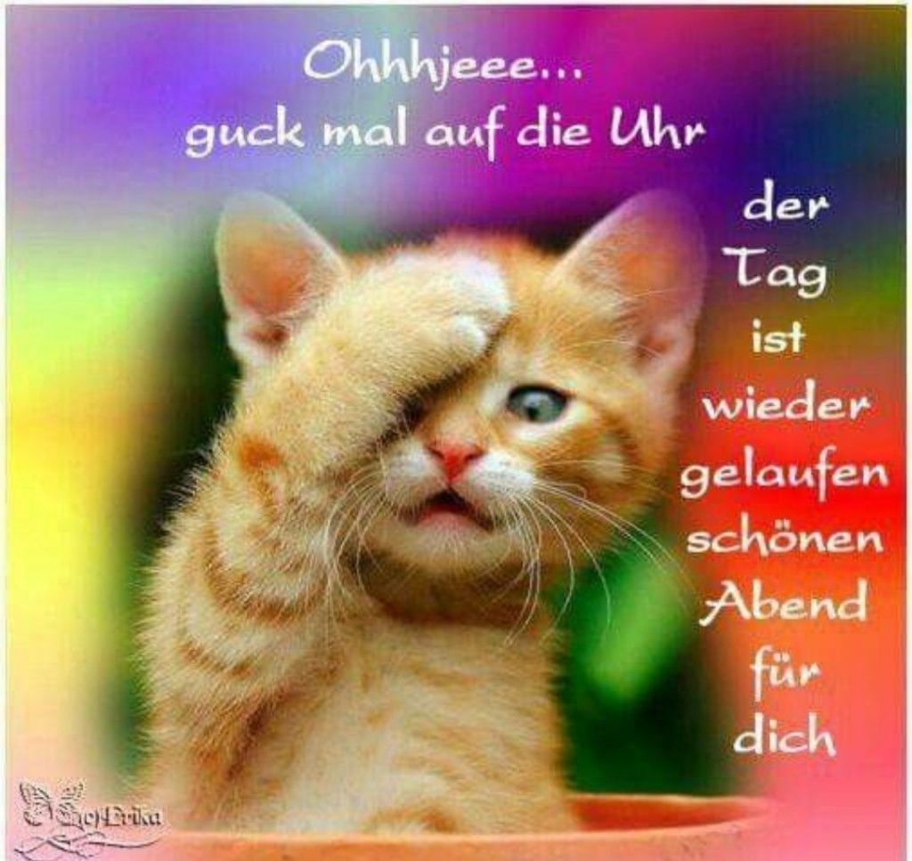Gute nacht schlaf gut bilder Bilder und Sprüche für Whatsapp und