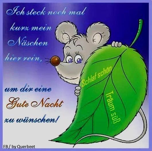 Gute nacht wünsche für freunde Bilder und Sprüche für Whatsapp und