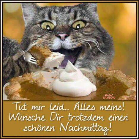 Guten Morgen Schatz Bilder Kostenlos Nachmittags Guten Morgen Schatz Bilder Kostenlos Nachmittags - Guten Morgen Schatz Bilder Kostenlos Nachmittags