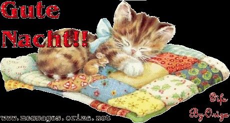 Guten abend bilder whatsapp Guten abend bilder whatsapp - Guten abend bilder whatsapp