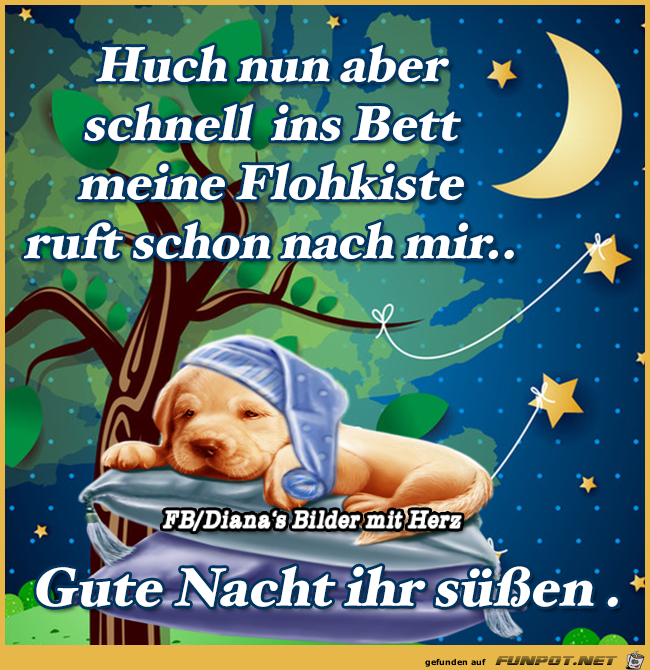 Guts nächtle sprüche Bilder und Sprüche für Whatsapp und Facebook