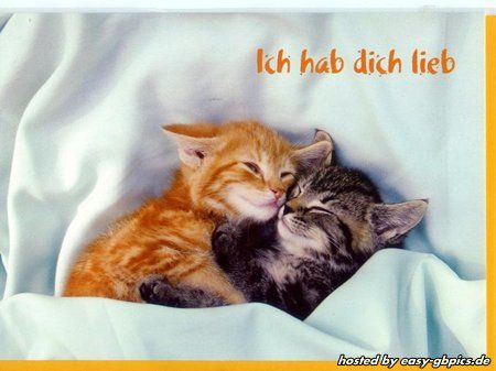Hab dich lieb sprüche bilder Hab dich lieb sprüche bilder - Hab dich lieb sprüche bilder