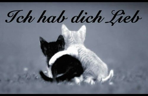 Ich habe dich ganz doll lieb sprüche Bilder und Sprüche für Whatsapp