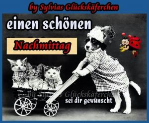 Sonntagsgrusse Lustig Bilder