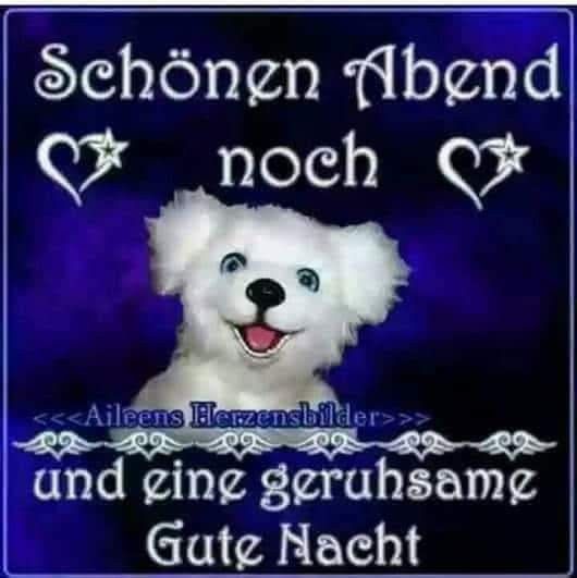 Lustige gute nacht bilder