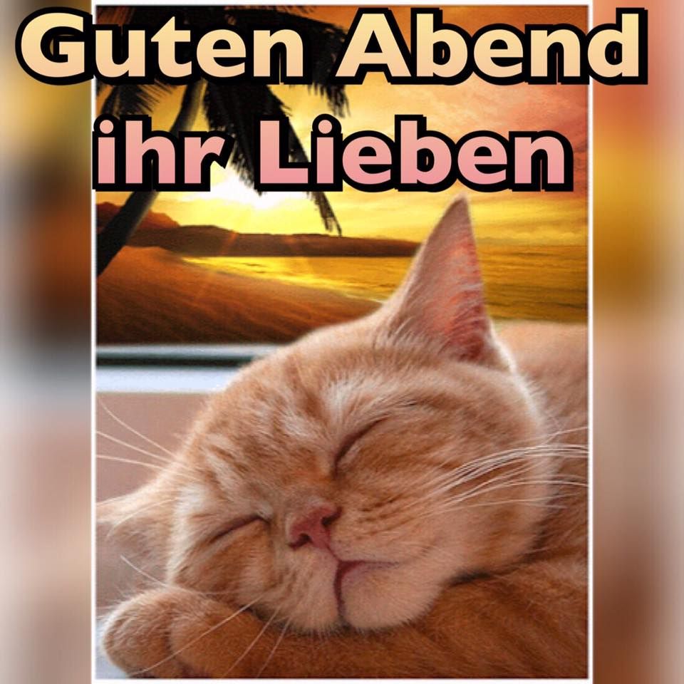Lustige gute nacht sprüche Bilder und Sprüche für Whatsapp und