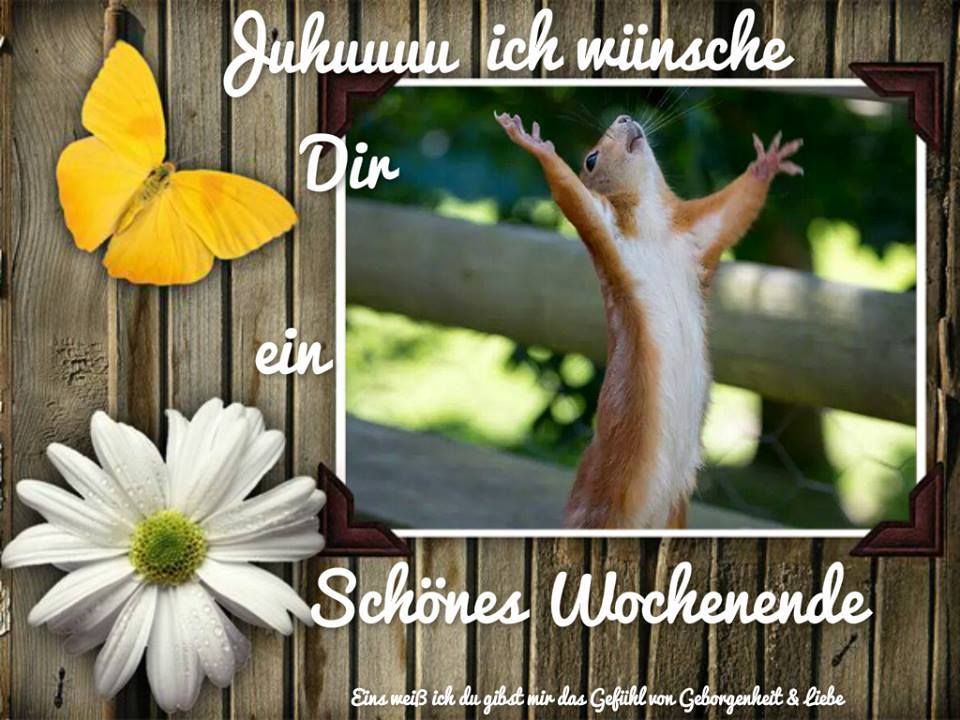 Whatsapp bilder kostenlos wochenende
