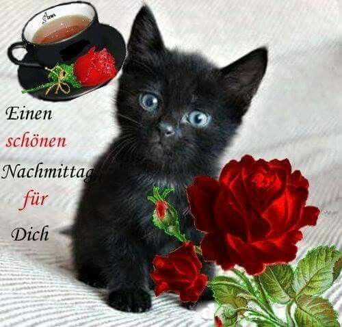Montag Bilder Kostenlos Nachmittags Montag Bilder Kostenlos Nachmittags - Montag Bilder Kostenlos Nachmittags
