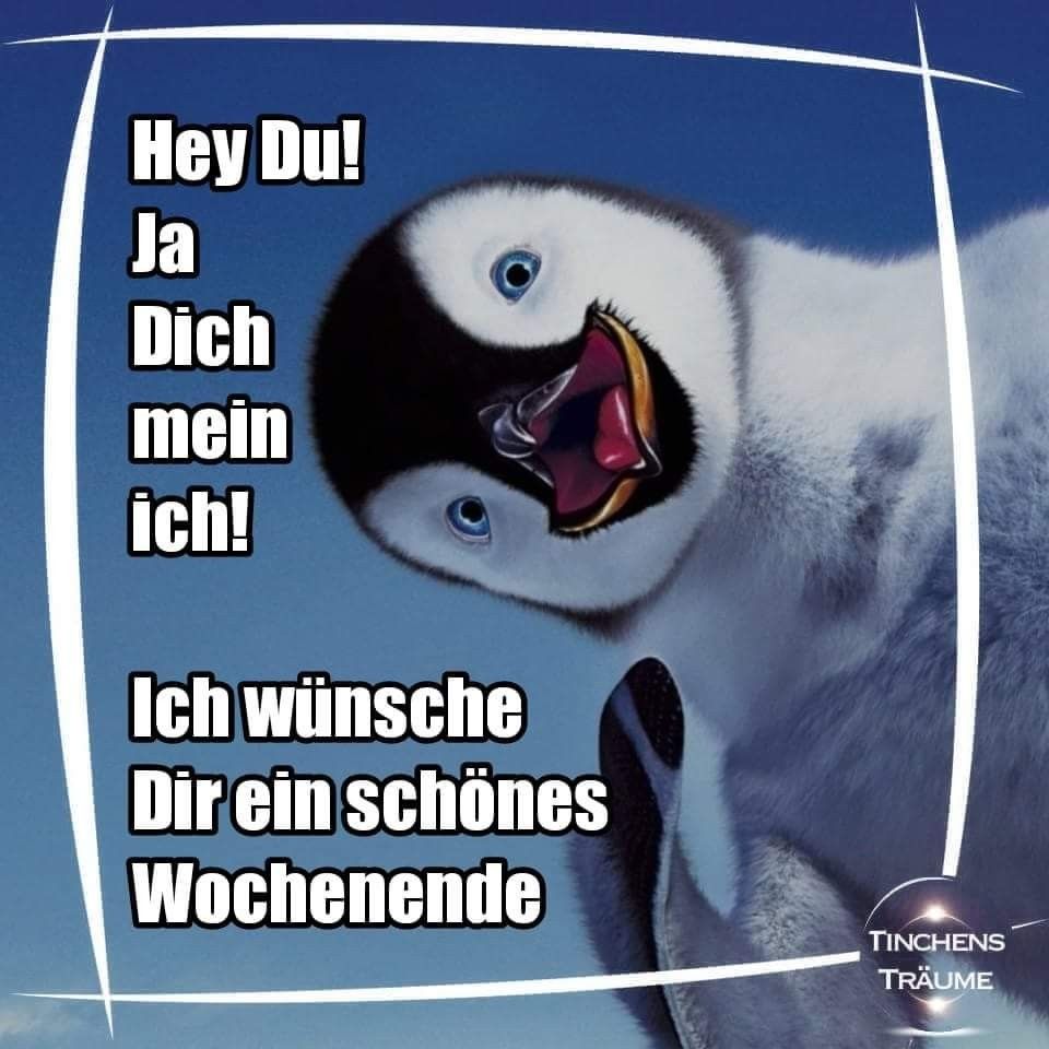 Pin Von Ilona Auf Anlasse Guten Morgen Lustig Guten Morgen