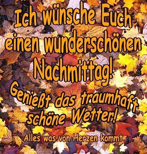 Image Result For Lateinische Zitate Liebesspruche Image Result For Lateinische Zitate Liebesspruche