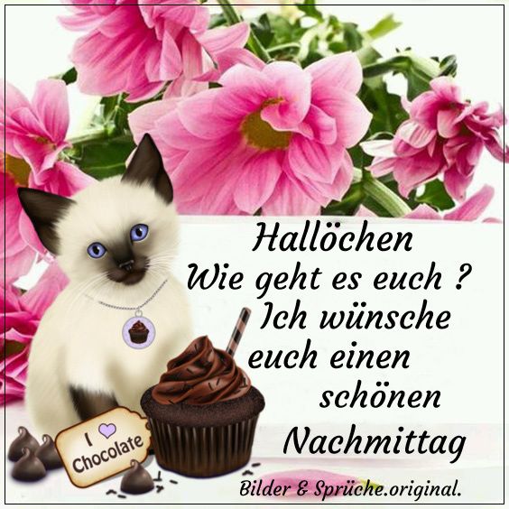 Schönen Tag Sprüche Kostenlos Nachmittags Bilder und Sprüche für