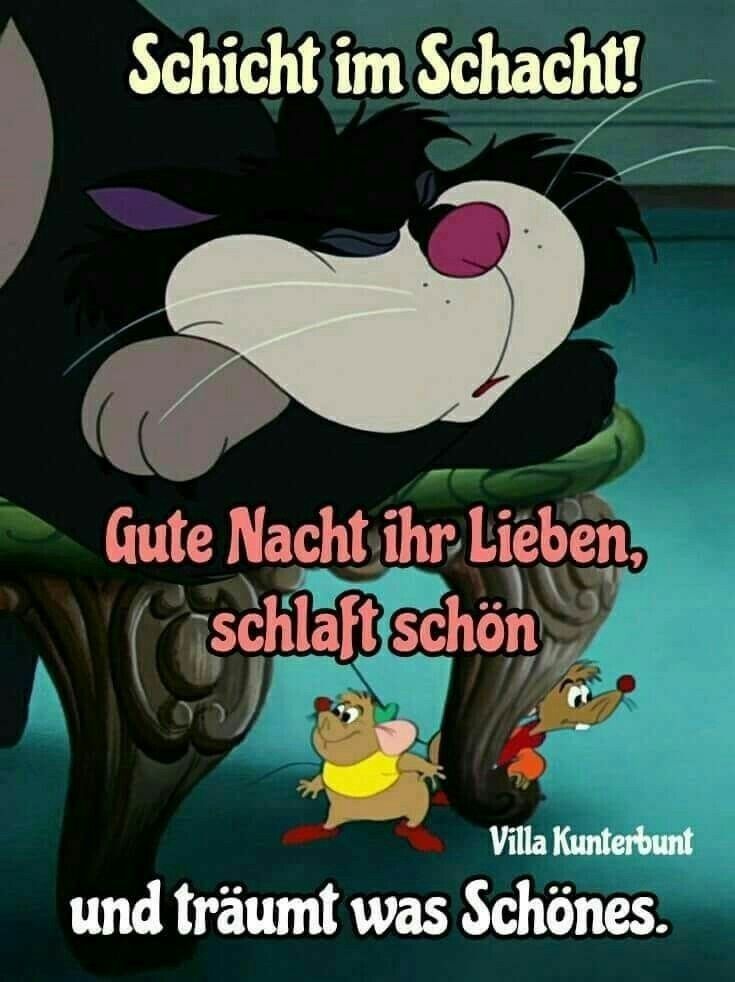 Schönen abend und gute nacht sprüche Bilder und Sprüche für Whatsapp
