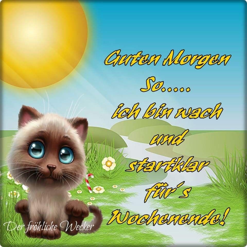 Schönes langes wochenende bilder Bilder und Sprüche für Whatsapp und