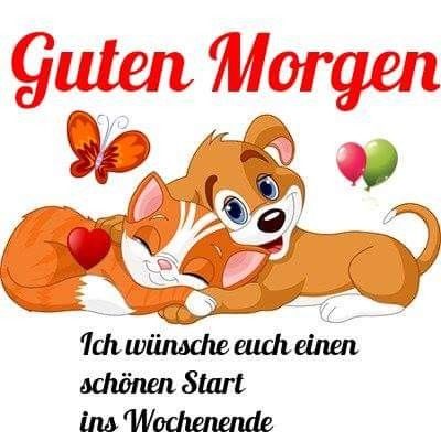 Guten morgen und ein schönes wochenende bilder