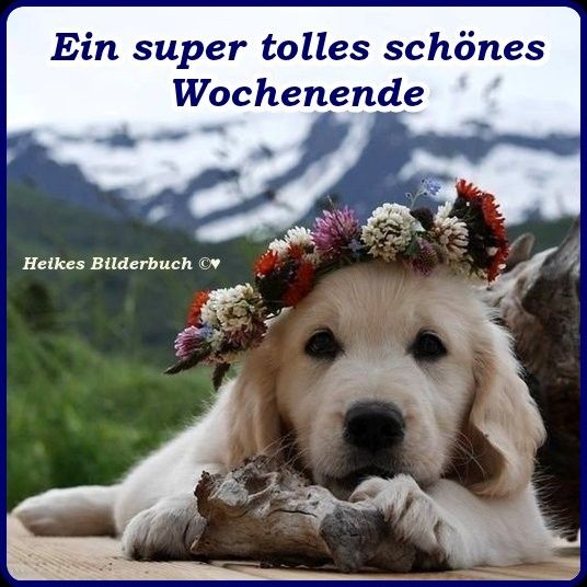 SchГ¶nes Wochenende Kostenlos SchГ¶nes Wochenende Kostenlos