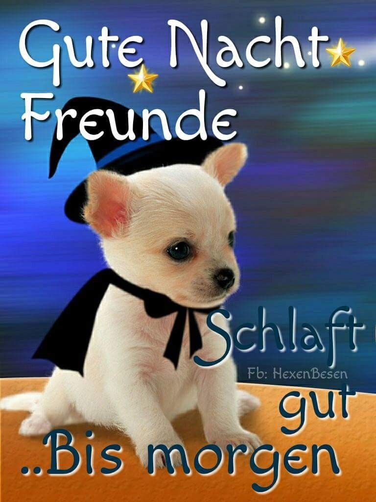 Gute sprüche für partnersuche