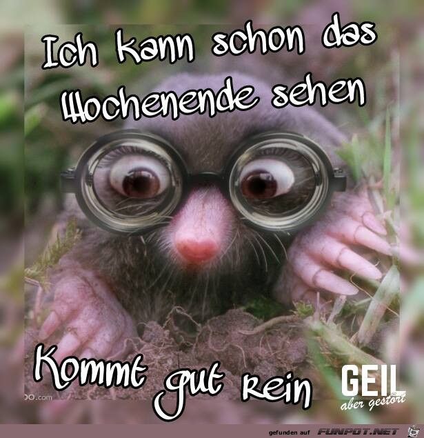 Tolles wochenende bilder Tolles wochenende bilder - Tolles wochenende bilder