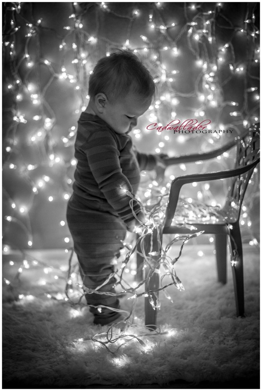 Weihnachtsessen Bilder Weihnachtsessen Bilder - Weihnachtsessen Bilder