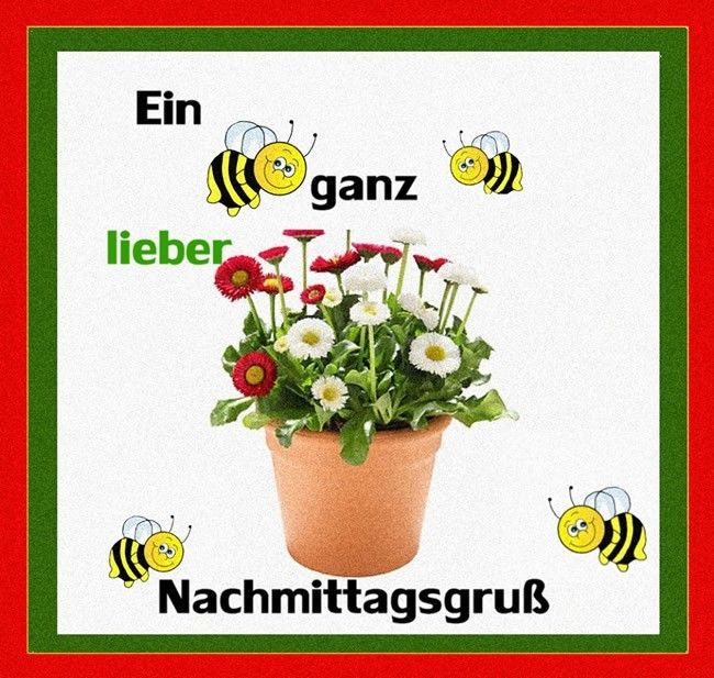 Wunderschönen Tag Bilder Nachmittags Wunderschönen Tag Bilder Nachmittags - Wunderschönen Tag Bilder Nachmittags