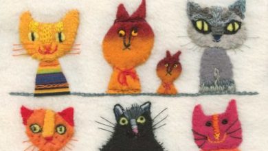 Bunte Katzen Bilder Bilder Kostenlos Bilder Und Spruche Fur Whatsapp Und Facebook Kostenlos