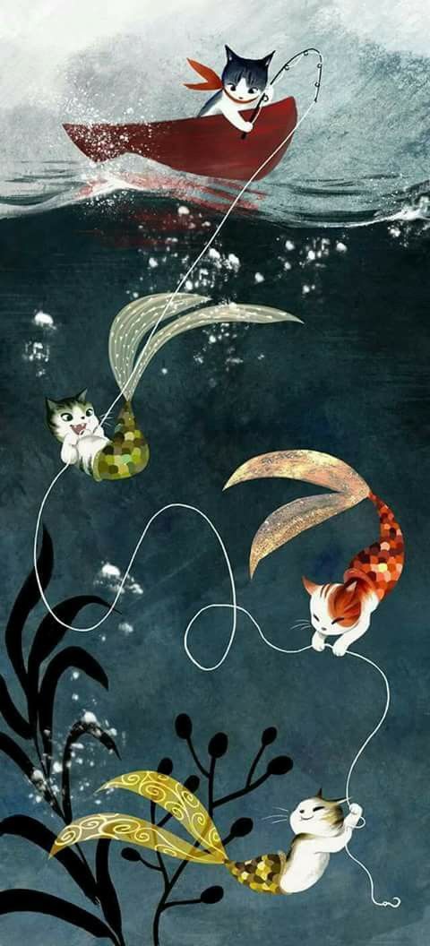 Cat Jpg Images Bilder Cat Jpg Images Bilder - Cat Jpg Images Bilder