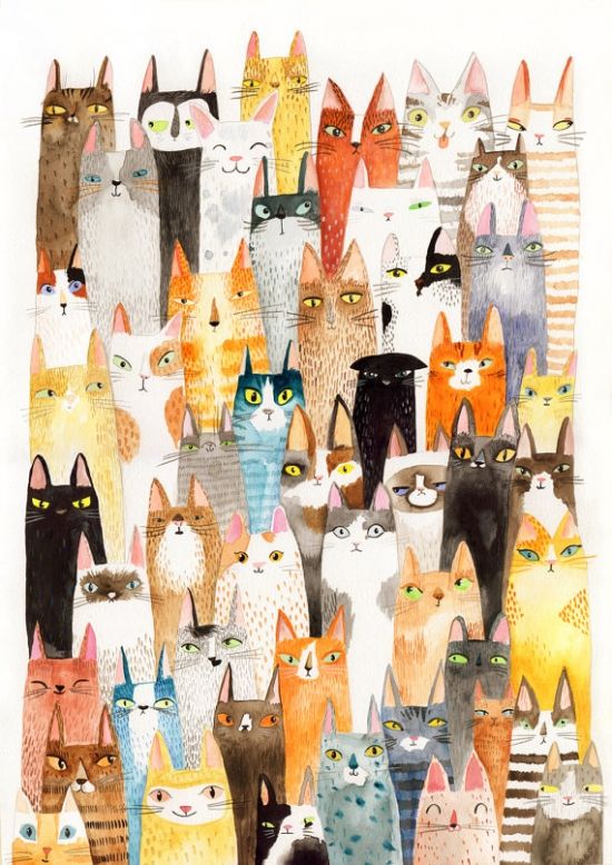 Free Cat Pictures To Download Bilder Free Cat Pictures To Download Bilder - Free Cat Pictures To Download Bilder