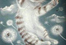 Funny Cat Pitchers Bilder 220x150 - Funny Cat Pitchers Bilder