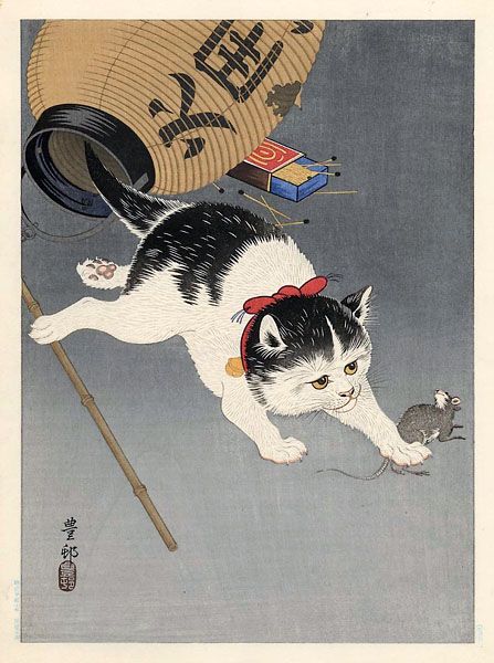 Katzen Bilder Download Bilder Kostenlos Katzen Bilder Download Bilder Kostenlos - Katzen Bilder Download Bilder Kostenlos