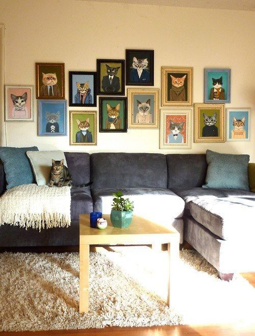 Kitty Cat Pictures Gallery Bilder Kitty Cat Pictures Gallery Bilder - Kitty Cat Pictures Gallery Bilder