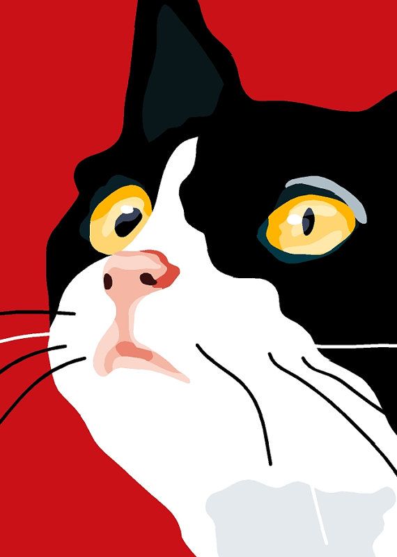 Kostenlose Katzenspiele Kostenlose Katzenspiele