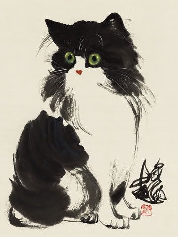 Download Niedliche katzenbilder mit spruechen HD