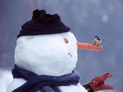 Schneemann Geschichte Schneemann Geschichte - Schneemann Geschichte