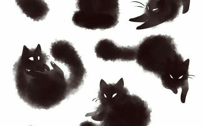 Suche Katze Kostenlos Suche Katze Kostenlos