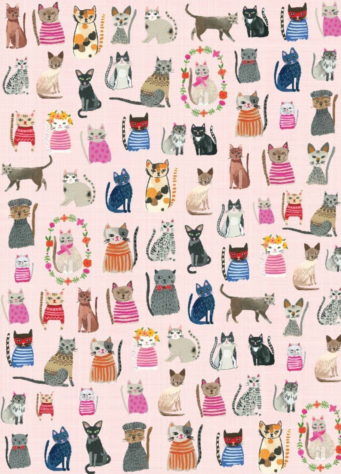 Very Cute Cat Images Bilder Very Cute Cat Images Bilder - Very Cute Cat Images Bilder