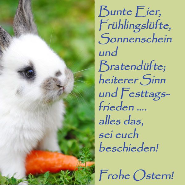 Frohe Ostern Wünsche Texte Bilder und Sprüche