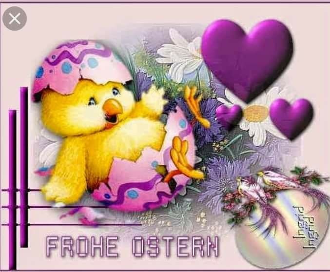 Oster whatsapp bilder