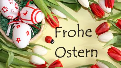 Osterfest Wünsche 390x220 - Osterfest Wünsche