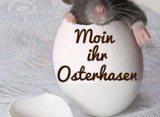 Ostergrüße Für Facebook 2021 Ostergrüße Für Facebook 2021