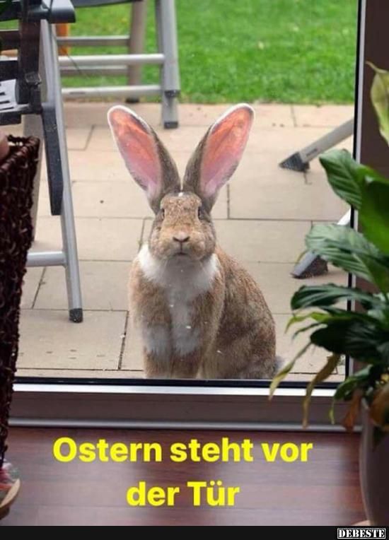 Süße Ostergrüße Bilder 2021 Süße Ostergrüße Bilder 2021
