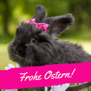 Ostergrüße Whatsapp Kostenlos 2021 Ostergrüße Whatsapp Kostenlos 2021